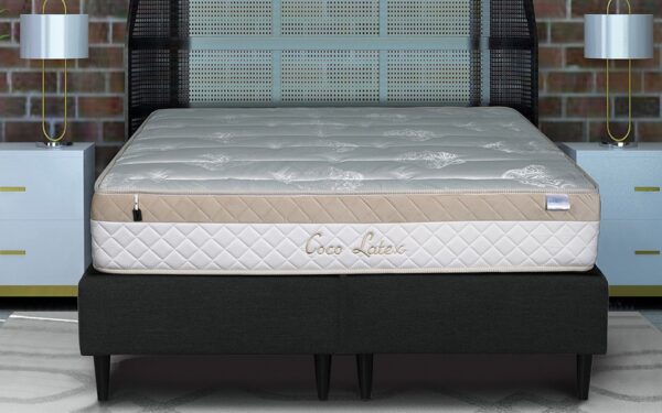 Coco latex - Slika 4