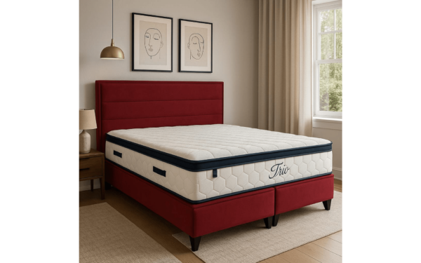 boston-3-1200x1200 Boston - Slika 1