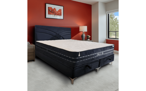 hera-3-1200x1200 Hera - Slika 1